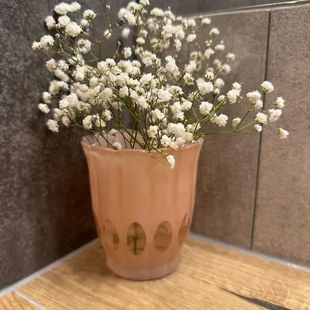 Rozenica Апартаменты *