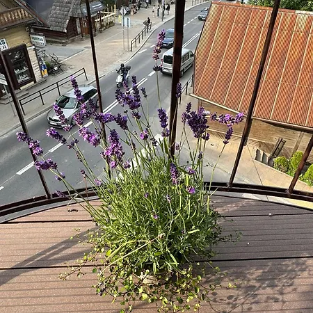 Апартаменты Rozenica *